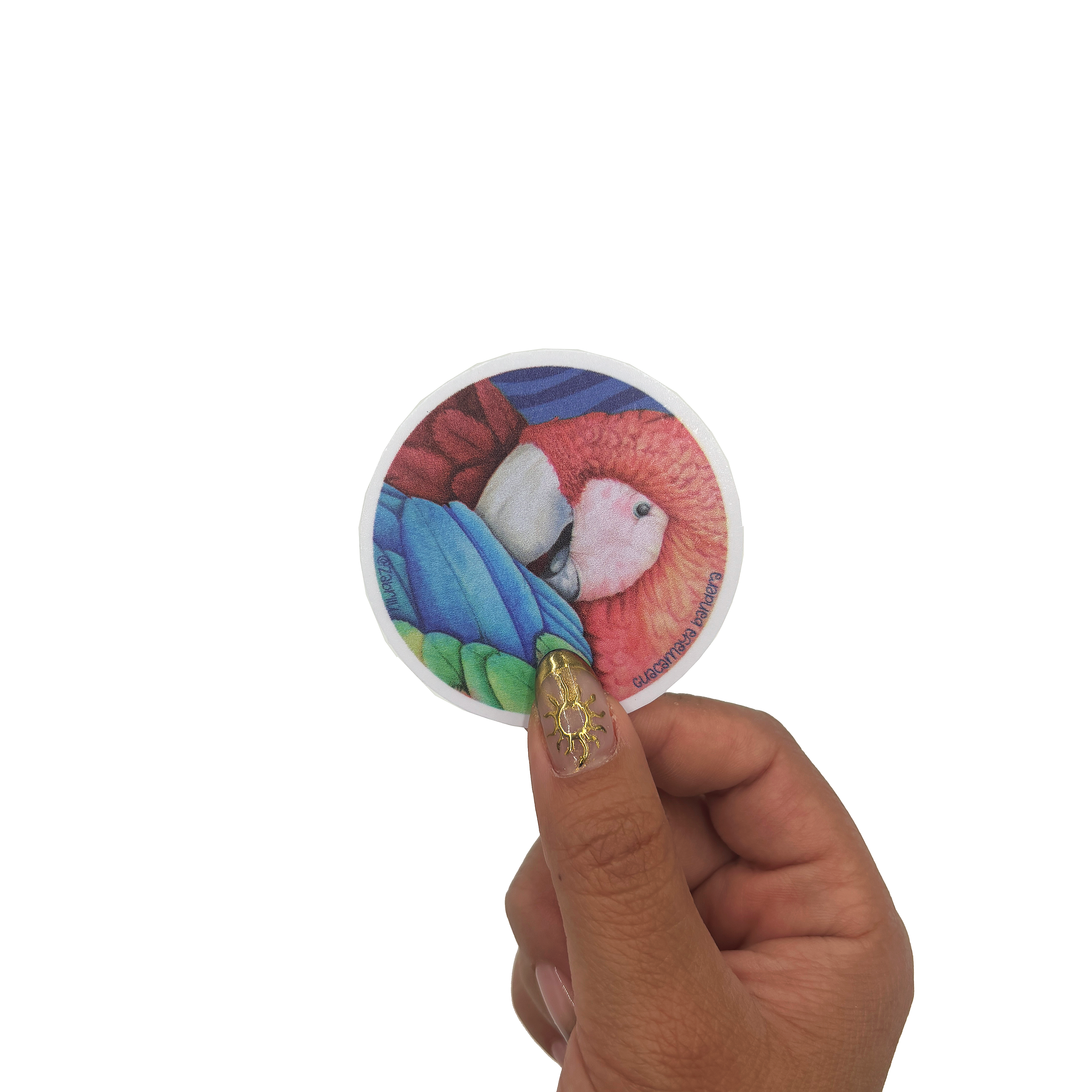 Sticker impermeable | Guacamaya círculo