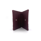 Billetera Libro | Oso de Anteojos