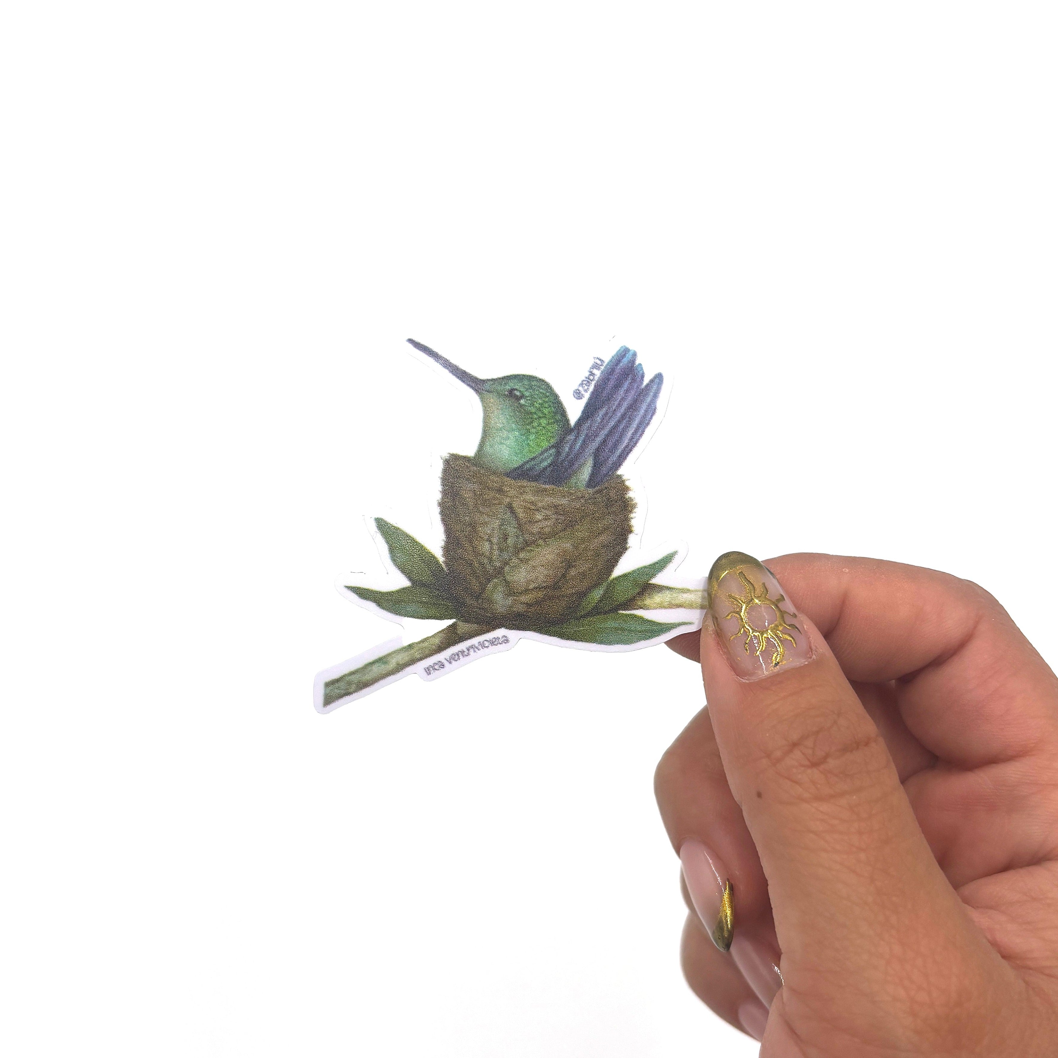Sticker impermeable | Colibrí Nido