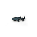 Pin | Tiburón Ballena