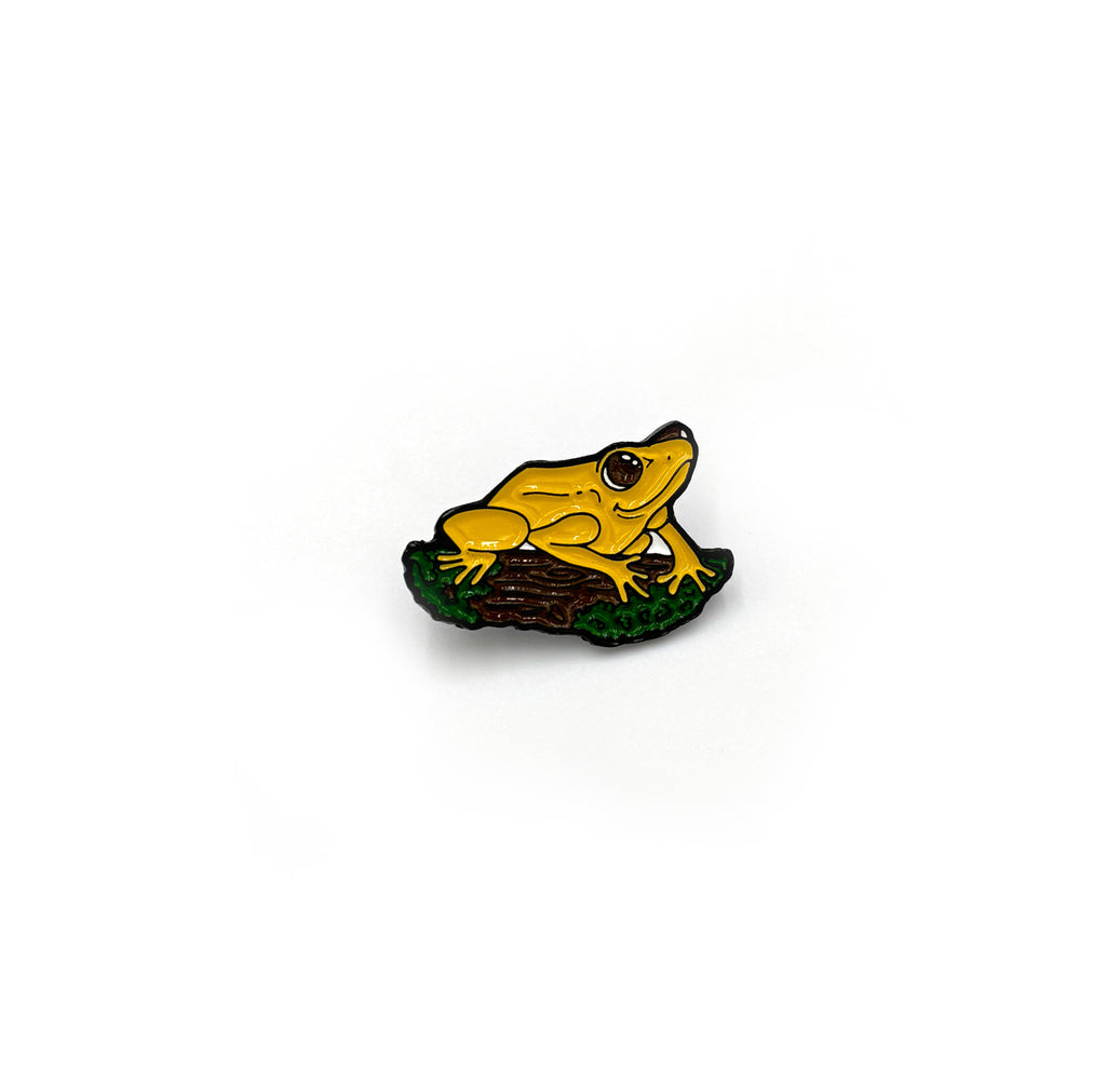 Pin | Rana Dardo