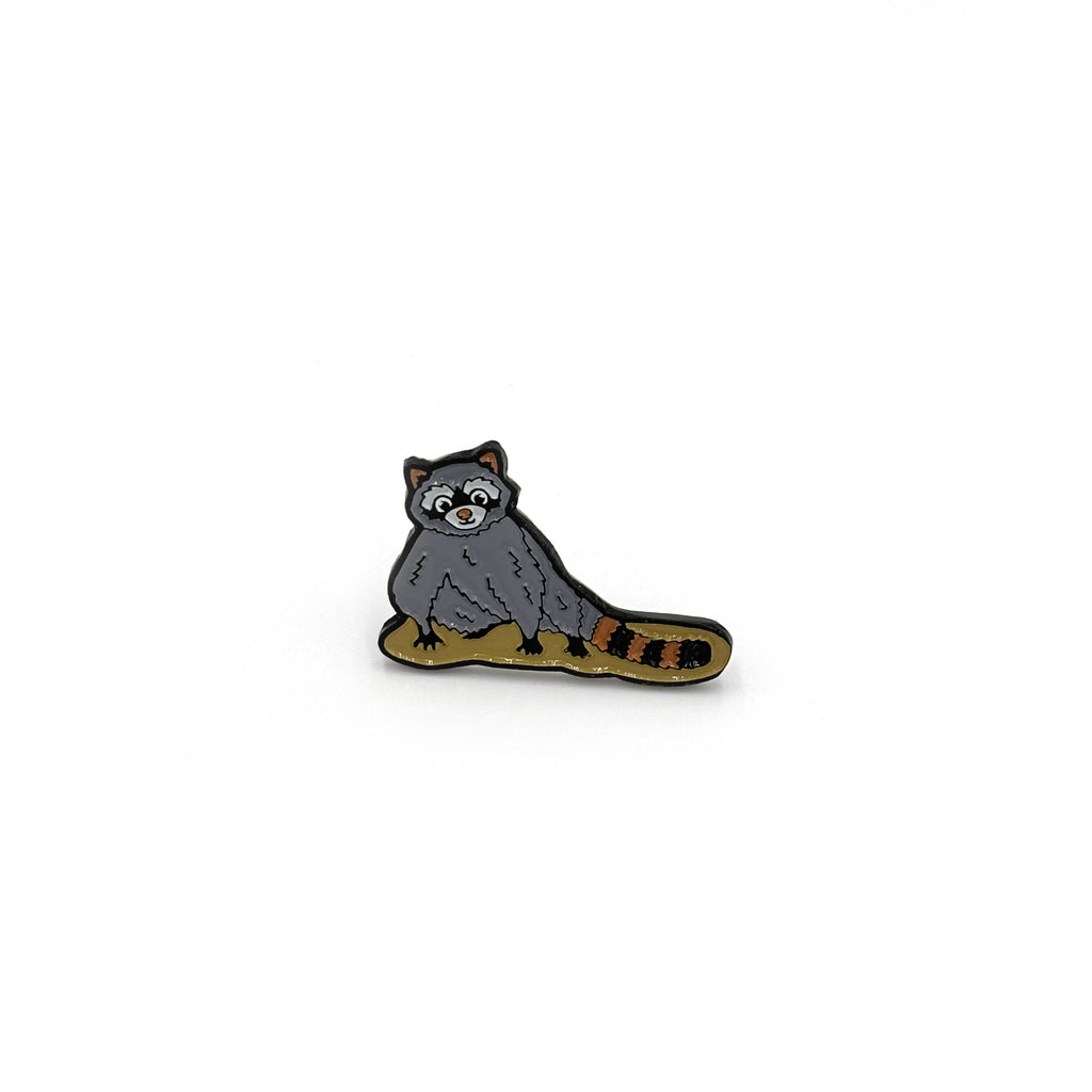 Pin | Mapache