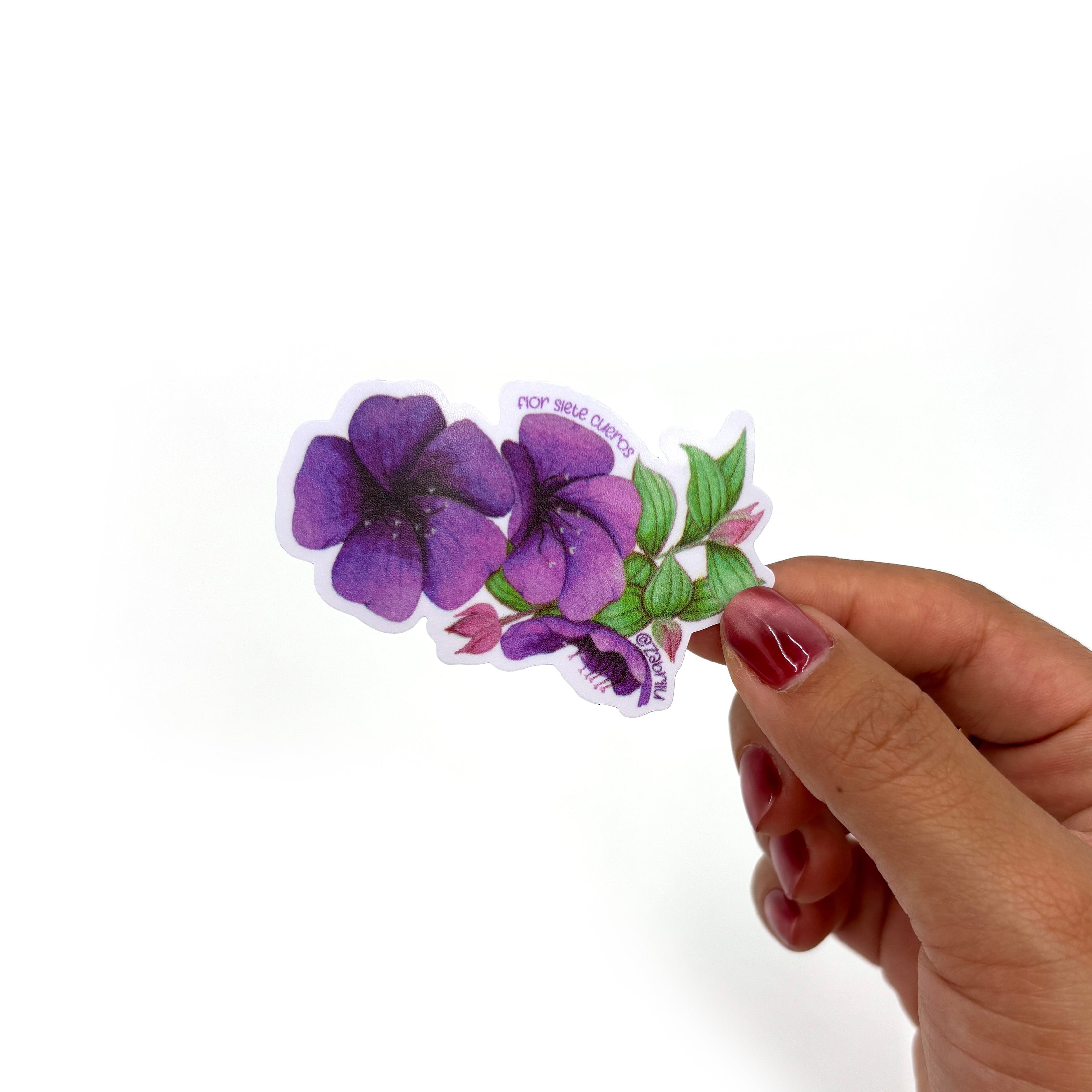 Sticker impermeable | Flor Sietecueros