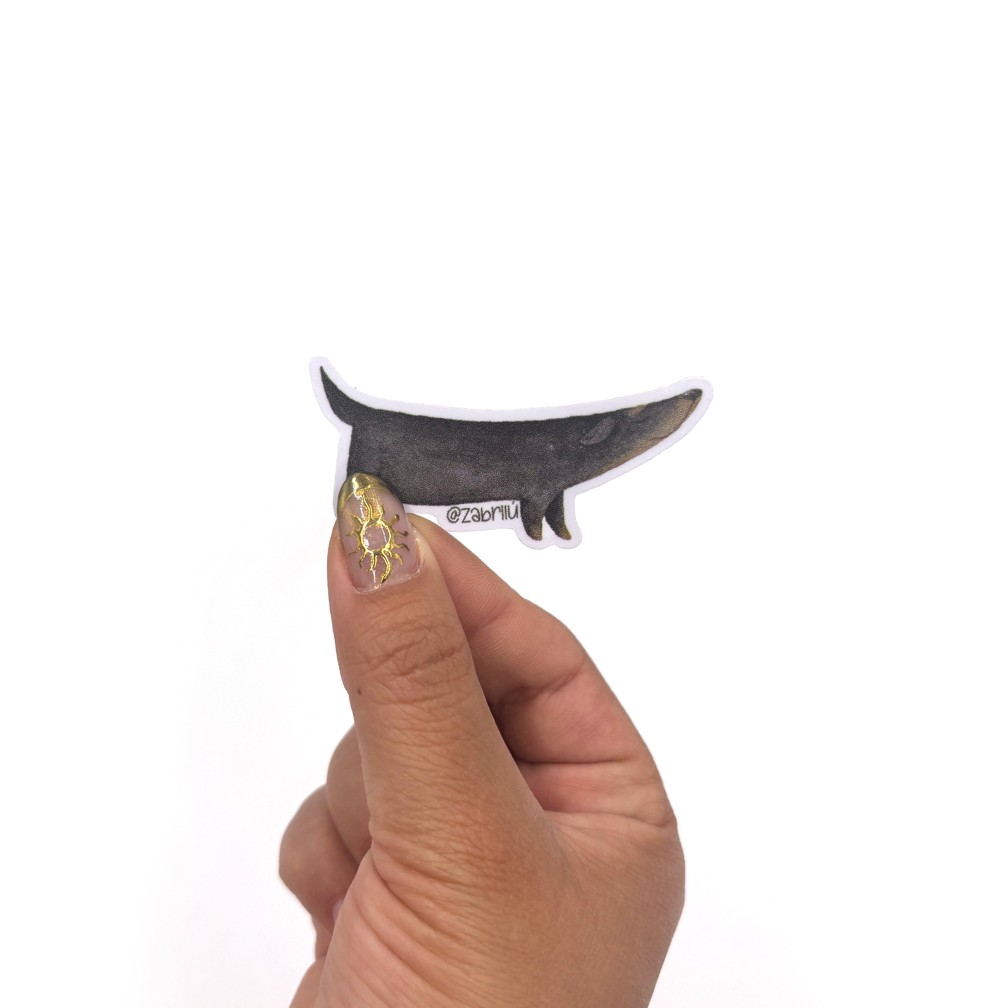 Sticker impermeable | Perro Salchicha