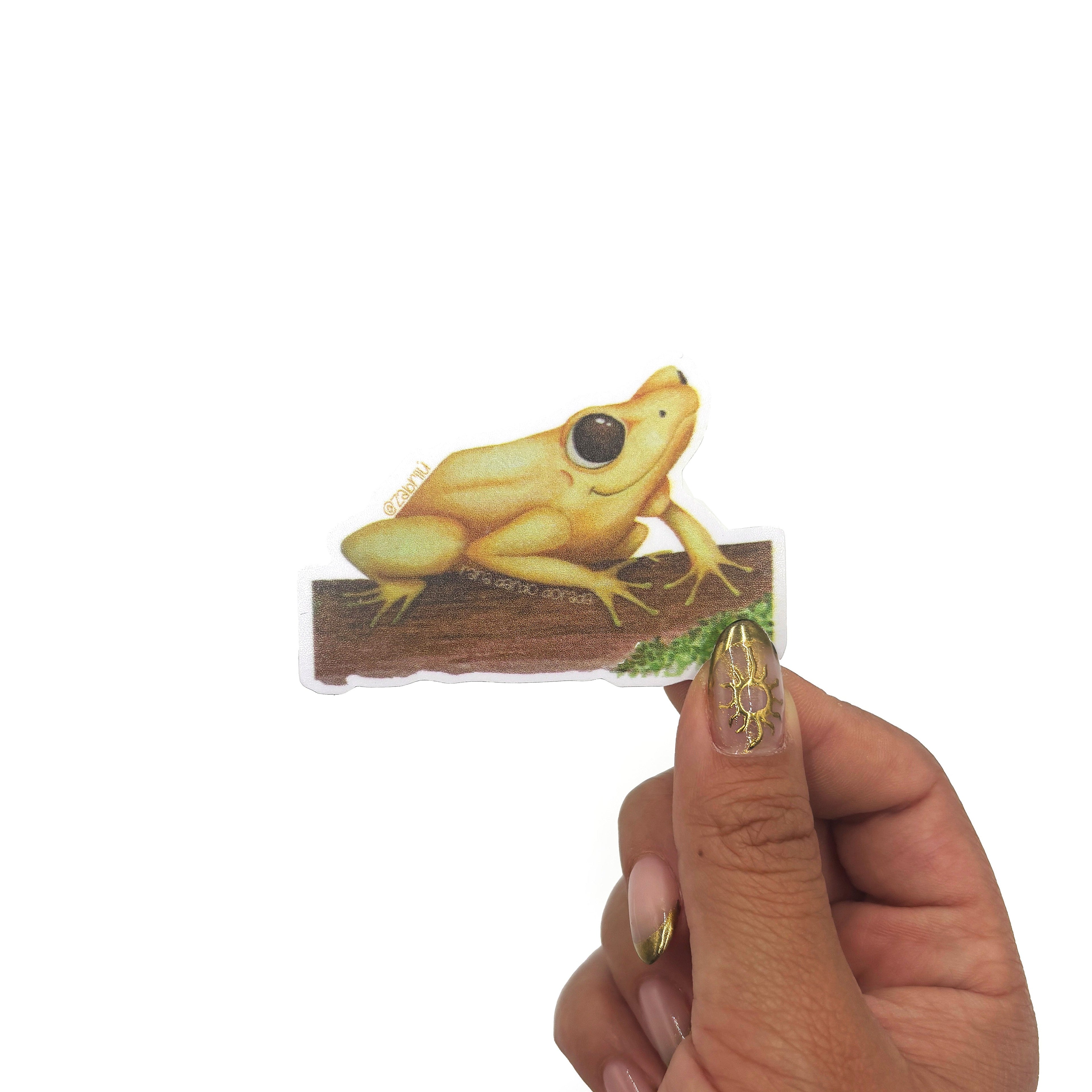 Sticker impermeable | Rana Dardo