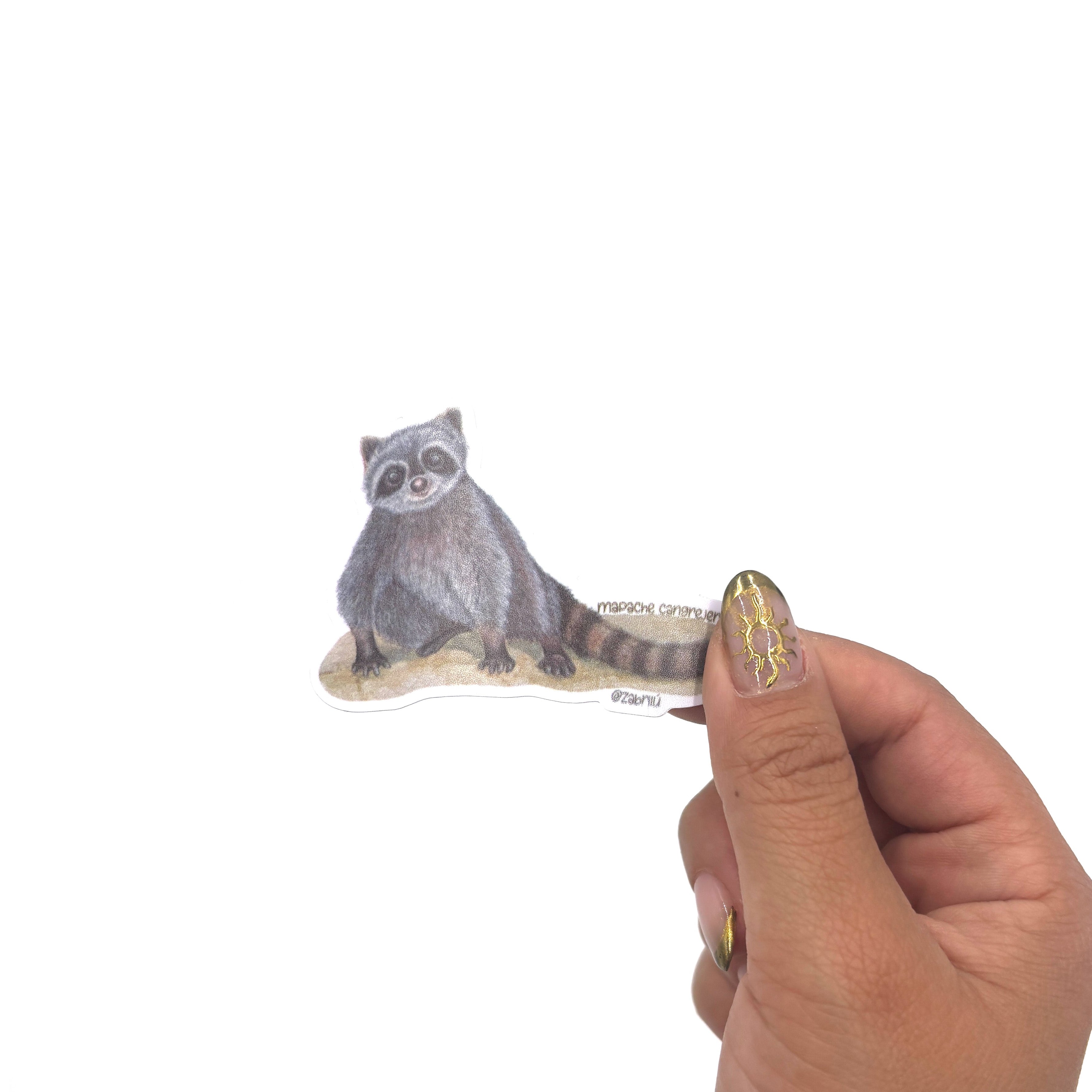 Sticker impermeable | Mapache