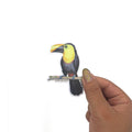 Sticker impermeable | Tucán del Chocó