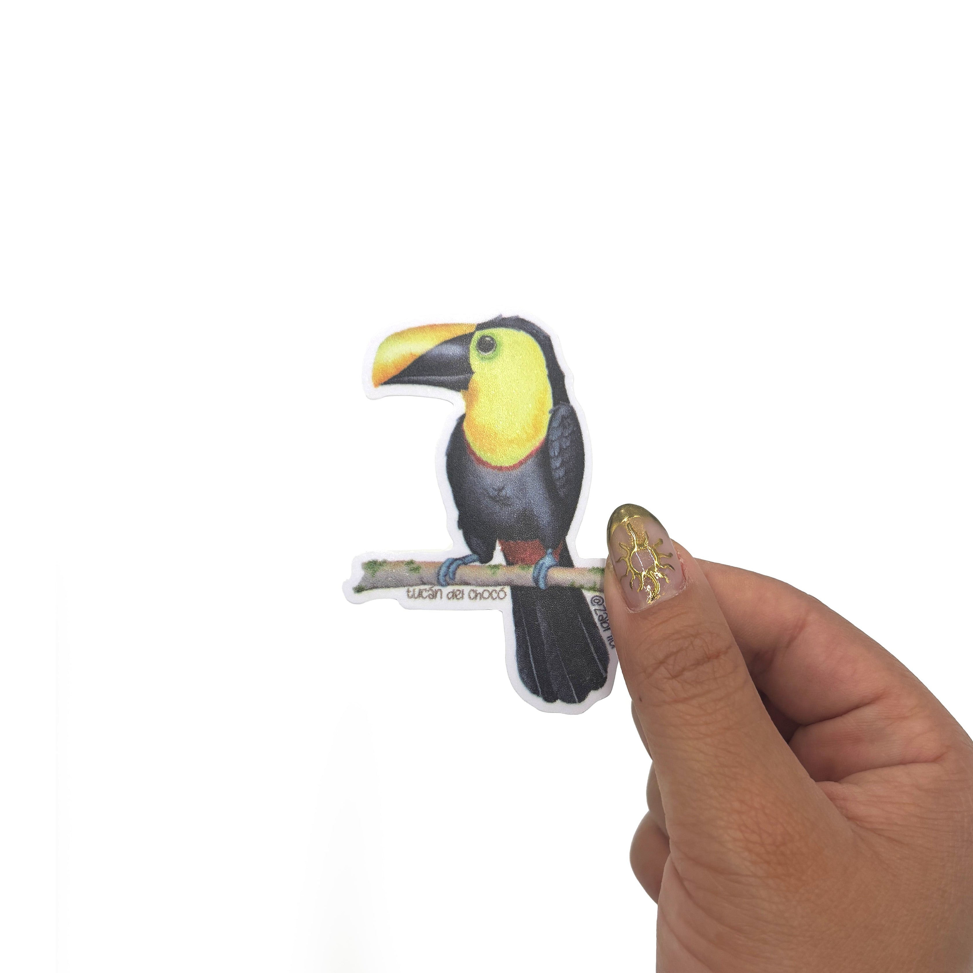 Sticker impermeable | Tucán del Chocó