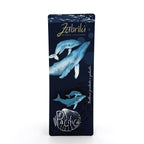 Pin | Ballena Jorobada